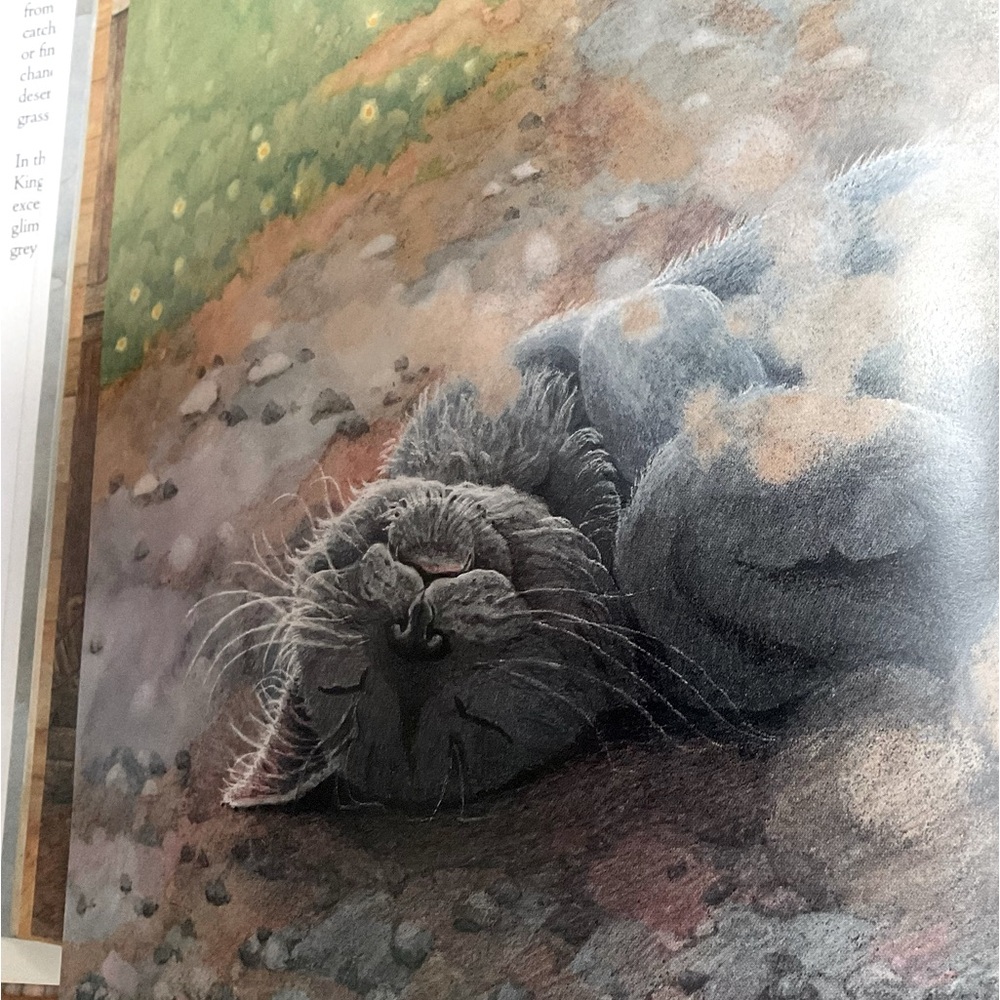 Children’s Book - “CLOUDY” - Picture 7 of 9